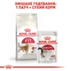 Корм для домашніх і вуличних котів ROYAL CANIN FIT 400 г (2520004) - изображение 6