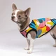 Одежда Pet Fashion Борцовка «Cool» для собак, с принтом XS2 (1111162860) - изображение 4