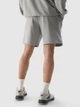 Шорти бавовняні чоловічі 4F Shorts Cas M330 4FWSS24TSHOM330-25S XL Сірі (5904698720330) - зображення 2