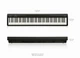 Цифровое пианино Roland FP-10 Black (RO-2655) - изображение 8