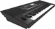 Синтезатор Roland E-X50 (RO-2881) - зображення 2