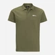 Поло длинное мужское Jack Wolfskin Essential Polo M 1809301-4511 L Хаки (4064886031424) - изображение 3