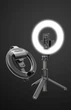 Кольцевая LED лампа L07s 3 в 1 со штативом с раскладной триногой держатель для телефона и селфи кольцо диаметром 16 см (40022) - изображение 1