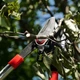 Сучкорез садовый для обрезки веток с храповым механизмом 740 мм INTERTOOL FT-1114 (234296) - изображение 7