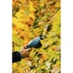 Кусторез-ножницы аккумуляторные Gardena ClassicCut (09885-20.000.00) - изображение 2
