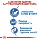 Повнораціонний сухий корм для кішок Royal Canin INDOOR (2 кг+400 г) - зображення 2