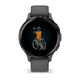Смарт-часы Garmin Venu 3s Silver Stainless Steel Bezel with Pebble Gray Case and Silicone Band (010-02785-50) - изображение 6