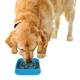 Миски и контейнеры Dexas Slow Maze Feeder Silicone 4 cup Миска квадратная для медленного кормления 0,96 л, голубая 1 шт (PW3042194) - изображение 5