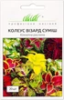 Колеус Визард смесь Профессиональные семена 20 шт - изображение 1