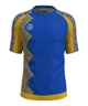 Футболка спортивная мужская RIGO SPORT Blue-Yellow L - изображение 1