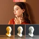 Лампа жезл студийный свет для селфи Ring Light Stick White с дефлектором для блогеров и фотографов 50 см - изображение 3