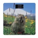 Умные весы с термометром 150 кг Ardesto Marmot - изображение 1