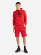 Худи утепленное мужское Umbro Large Logo Hoodie 66412U-7RA XL Красное (5063178020664) - изображение 3