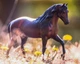 Жеребець пасо фіно Vivaldi de Besilu traditional Breyer 1860 - изображение 4