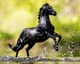 ATP Power traditional кобила Breyer 1870 - изображение 4
