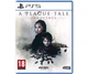A Plague Tale: Innocence (русские субтитры) (PS5) - изображение 1
