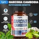 Премиальная добавка экстракт гарцинии камбоджийской Agobi 3in1 Garcinia Cambogia 120 капсул - изображение 3