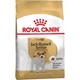 Сухой корм Royal Canin Jack Russell Terrier – корм для Джек-Рассел-терьеров от 10 мес., 1.5 кг (21000159) - изображение 2