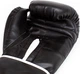 Боксерські рукавиці Everlast Core 2 Training Gloves (P00002328) Black р. L/XL - зображення 7