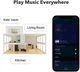 Мережевий стример WiiM Pro (CPU A53/BT5.0/Wi-Fi/Airplay2/192 kHz/24-bit) - зображення 8