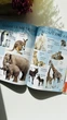 Найкращий подарунок: Перша книга малюка/Baby's first book - зображення 6