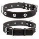 Ошейник "CoLLaR" одинарный с украшениями (ширина 35мм, длина 48-63см) черный - изображение 1