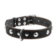 Ошейник "CoLLaR" одинарный с украшениями (ширина 35мм, длина 48-63см) черный - изображение 2