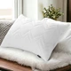 Подушка NORDIC COMFORT+ IDEIA 50х70 см с молнией белая (8-34694*001) - изображение 1