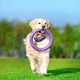 Игрушка для собак пуллер 30СМ тренировочный для крупных пород Collar Purple - изображение 3