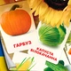 Карточки Домана ''Овощи'' на украинском языке, в наборе 24 карточек - изображение 1