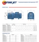 Pedrollo FUTURE JETm 2CX Самовсасывающий Насос (7.2 м³, 50 м, 0.75 кВт) - изображение 4