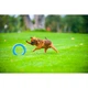 Кольцо для апортировки PitchDog20, диаметр 20 см, голубой - изображение 5