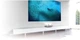 Экран фиксированный Epson ELPSC36 16:9, 120", 2.66x1.5 м, ALR (V12H002AG0) - изображение 3