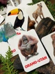 Карточки Домана ''Животные Азии'' на немецком языке, в наборе 16 карточек - изображение 2