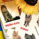 Картки Домана ''Породи котів'' українською мовою, у наборі 32 карток - зображення 1