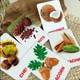 Карточки Домана ''Орехи'' на английском языке, в наборе 16 карточек - изображение 2