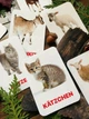 Карточки Домана ''Домашние животные и их детеныши'' на немецком языке, в наборе 16 карточек - изображение 2