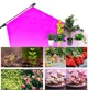 Гнучка світлодіодна фітолампа ультрафіолетова 2 голови Grow Light для квітів орхідей рослин мікрозелені повний спектр фіто лампа на прищіпці від USB - зображення 6