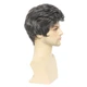 Парик мужской короткий пепельный TB/Dark Grey - изображение 5