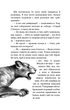 Діти лісу. Книга 5. Ворожі сліди - Катя Брандіс (978-617-548-226-1) - изображение 3