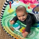 Килимок розвиваючий Baby Einstein Sea Floor Explorers 2 в 1 (12807) (074451128071) - зображення 14