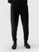 Спортивні штани 4F TROUSERS CAS M603 L Чорний 4FWSS24TTROM603-20S - изображение 1