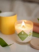 Ароматична свічка Turbota candles Зелений чай і довга подорож 145 г 9 см - зображення 3