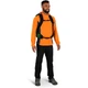 Туристический рюкзак Osprey Talon 22 Green Belt/Black L/XL (009.3581) - изображение 4