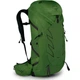 Туристический рюкзак Osprey Talon 36 Green Belt/Black L/XL (009.3577) - изображение 1
