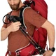 Туристический рюкзак Osprey Talon 36 Green Belt/Black L/XL (009.3577) - изображение 6