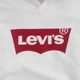 Подростковое теплое худи для мальчика Levi`s LVB-Batwing Screenprint Hoodie 9E8778-001-LV 158-164 см Белое (3665115259261) - изображение 7