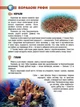 Мешканці морів та океанів. Жабська Т.С. (9786176950318) - изображение 2