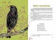 Вусохвості й лапокрилі. Читанка про тварин. Верховень В.М. (9789669359483) - зображення 4