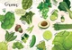 Мої улюблені фрукти та овочі / My favorite vegetables and fruits. Тиха В.В. (9789669890702) - зображення 3